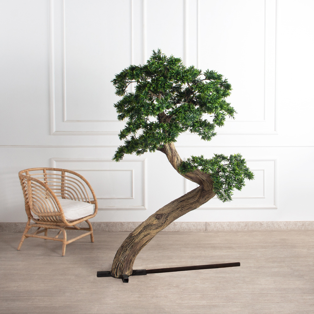 180МЕТ/АСС/241(з)(F) Подокарпус интерьерный h180 d110см_3