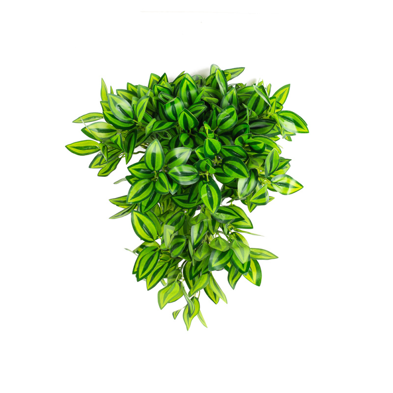 КС75 Традесканция ампельная зеленая в кашпо