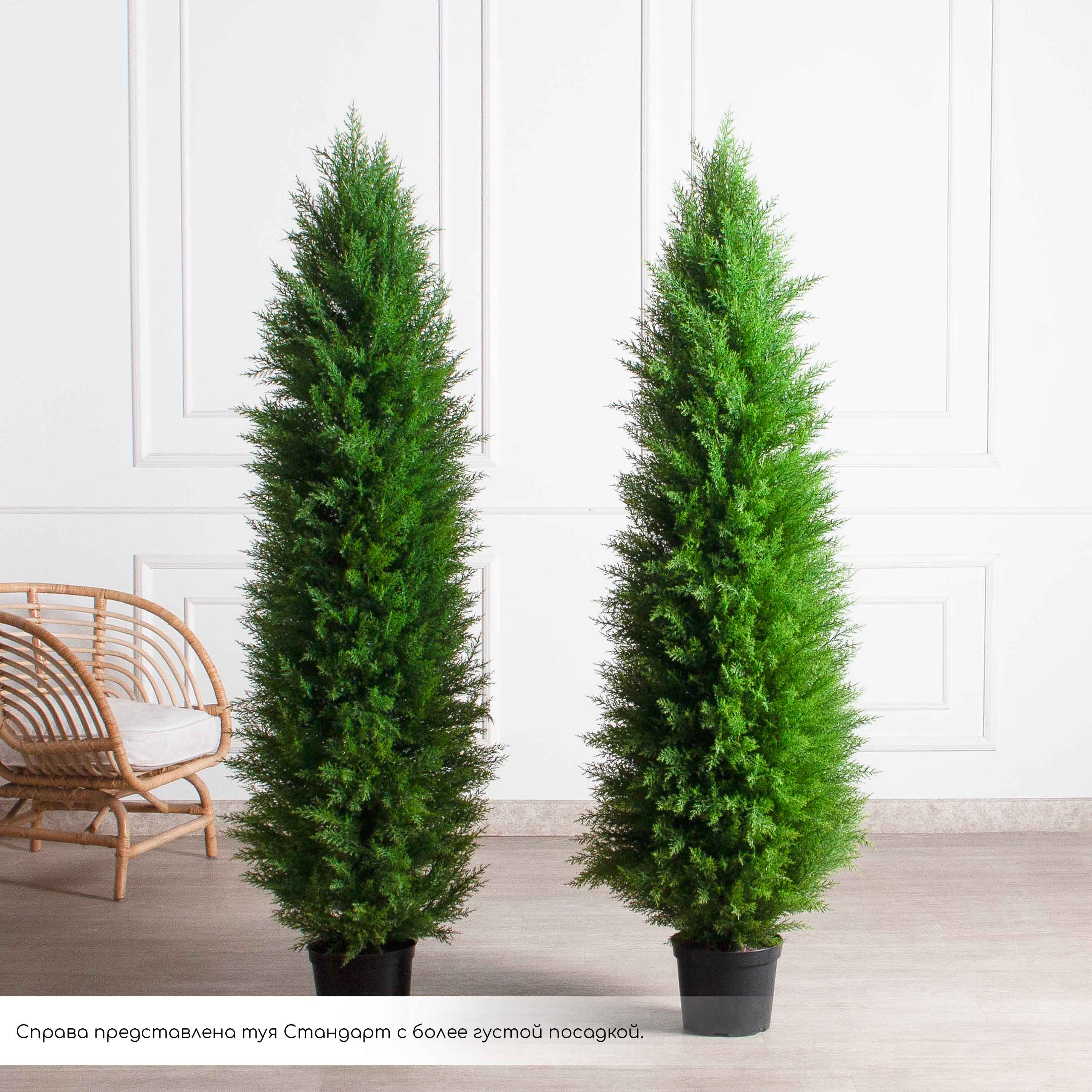 Т180/СЛ/4677(Пр)(Fix)(F) Туя искусственная Слим h180см_3