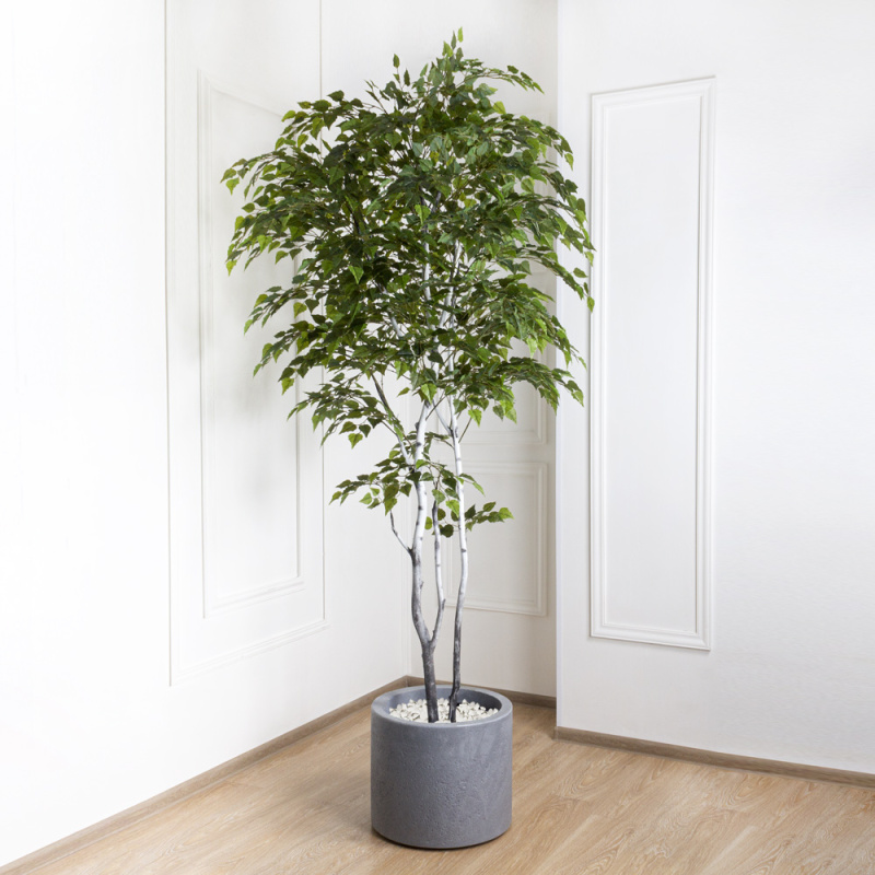 240/РН/12М-3(з) Береза искусственная h240см (латекс)