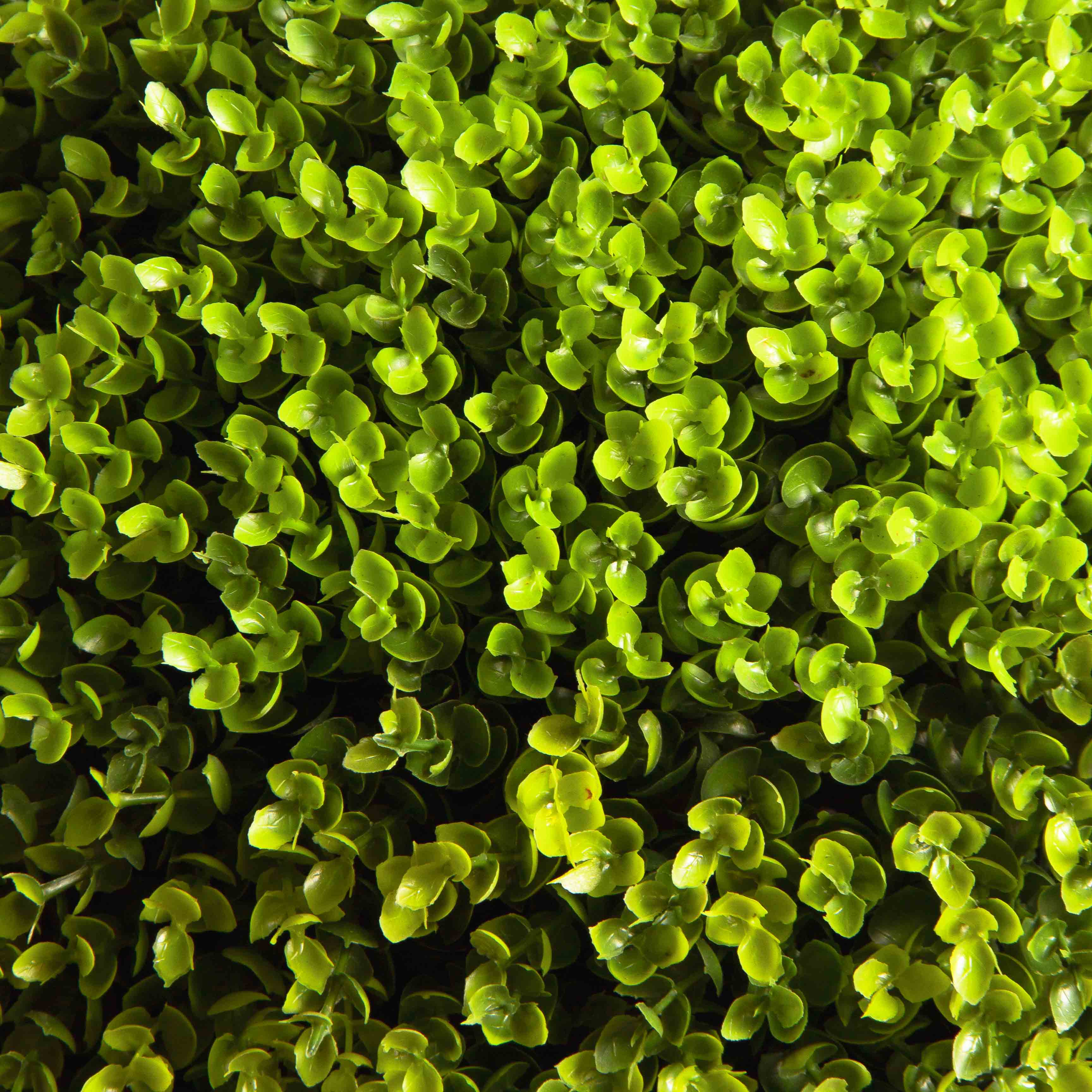 СШКТ040/98(F)(Акция) Самшит искусственный топиарий d42-45см, h60см_5