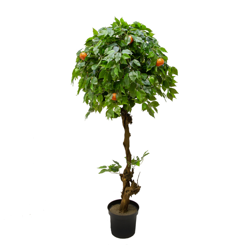 160/ОС/24М(з.) Мандарин h160см(латекс)