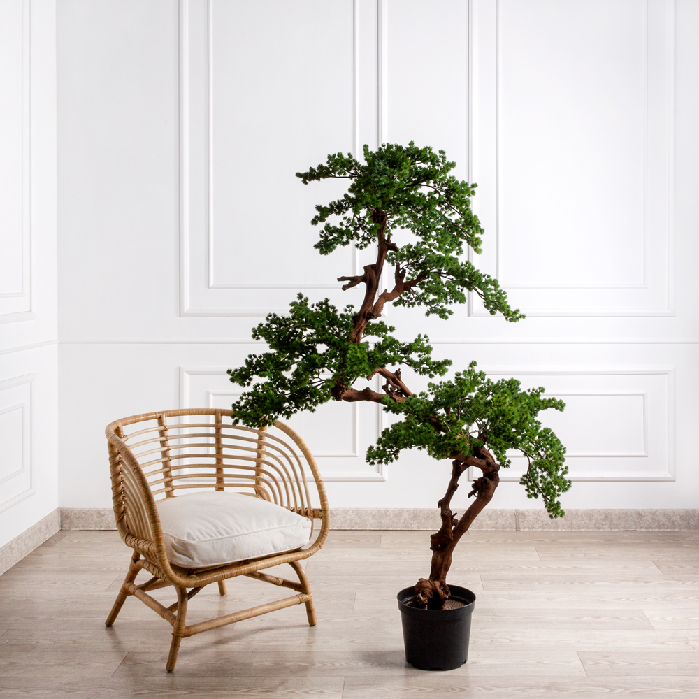БС165/ОС/427(Пр) Бонсай искусственный Сосна h165см _2