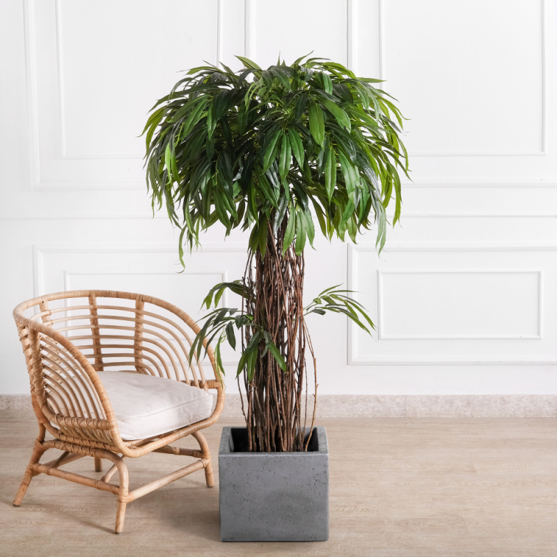 150/ССТК/ВИТ/РН/219(Пр)(F) Лонгифолия искусственная h150см_1