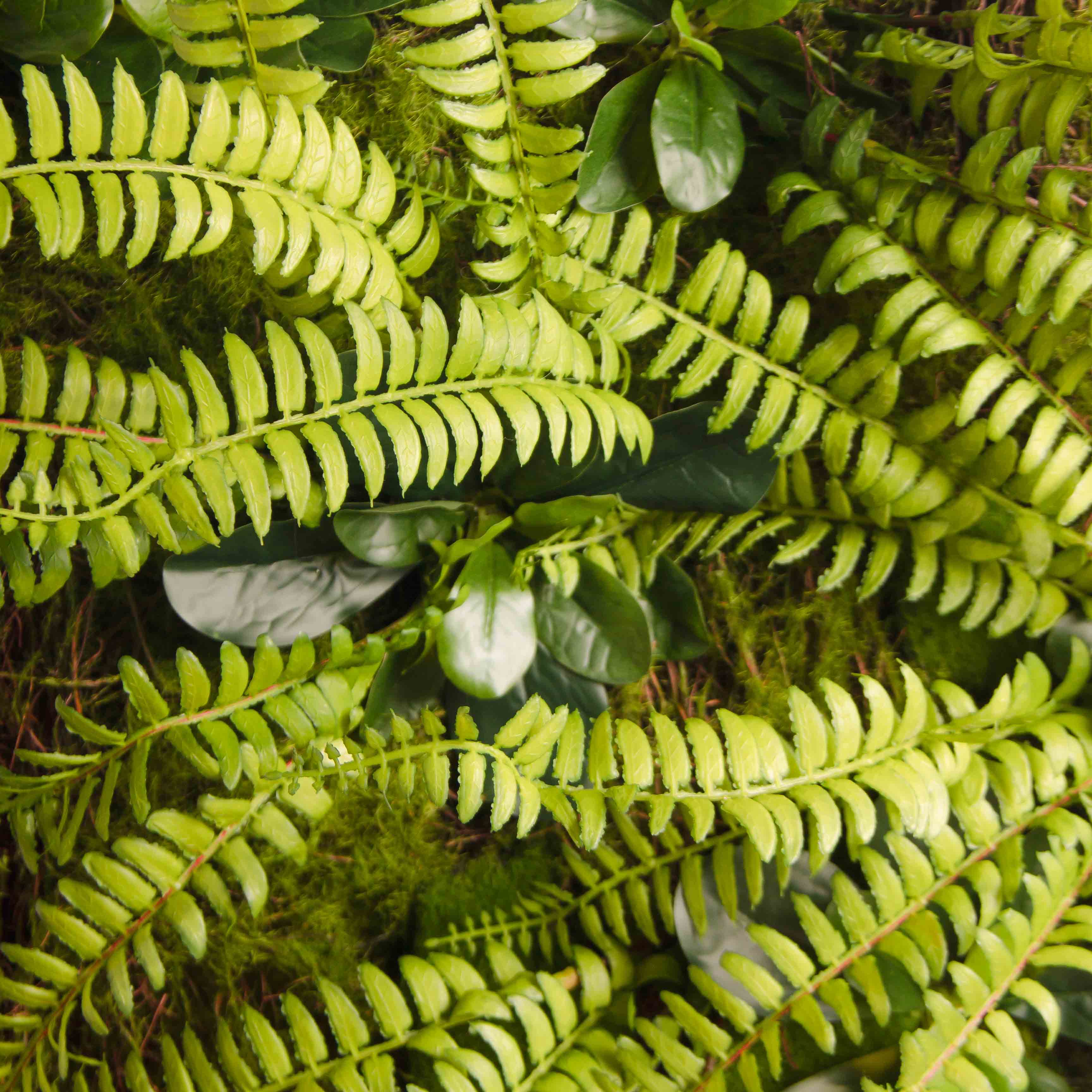 ФК05(з)(F) Фитокартина искусственная с толстянкой 50х50см_3