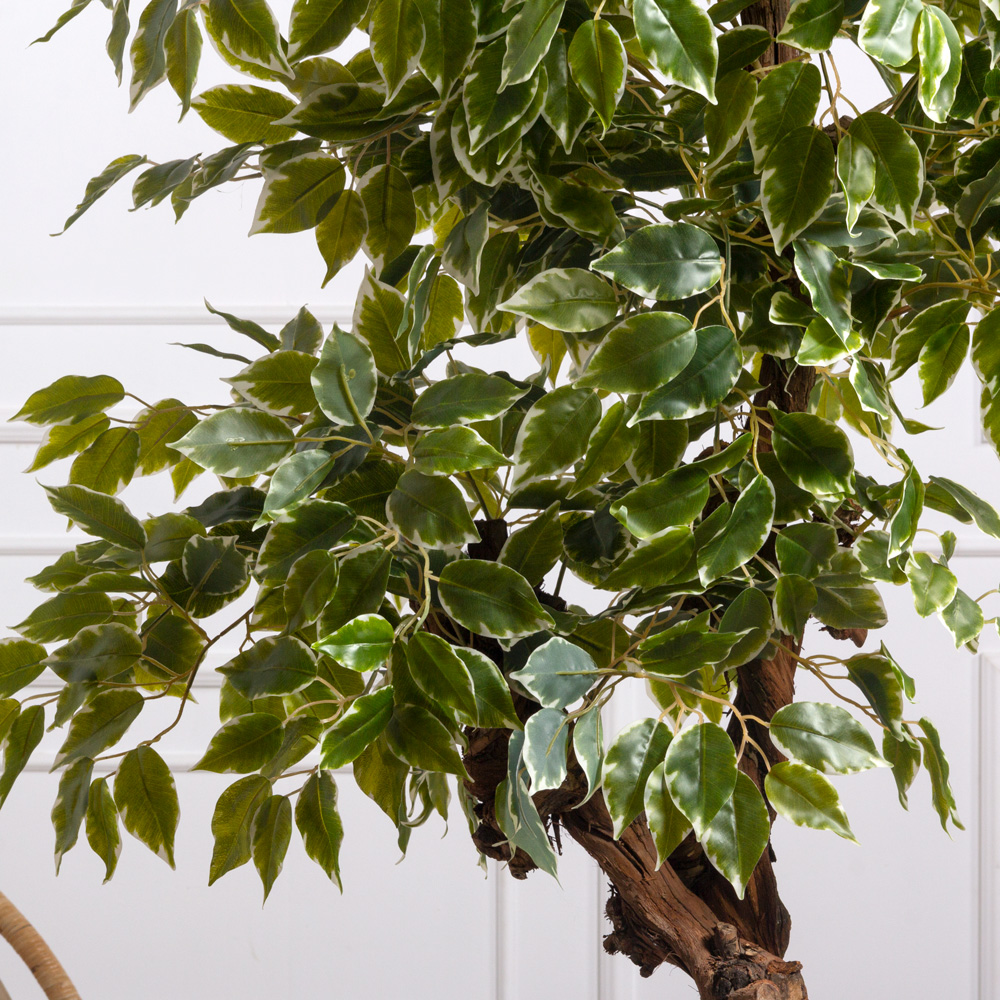140/2К/ОС/17(Пр)(F) Фикус Бенджамина Старлайт искусственный h140см (латекс)_2