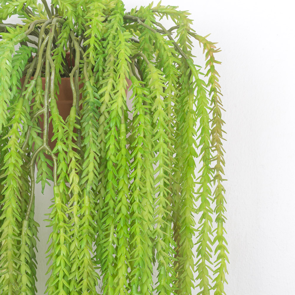 КС80 Мох-елочка Крассула ампельная(силикон) в кашпо d11см_7