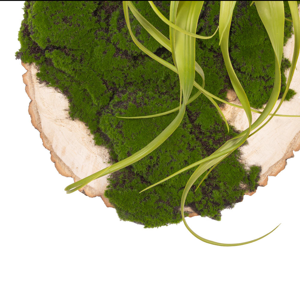 БК140/2 Композиция на березовом спиле d48-50см_2