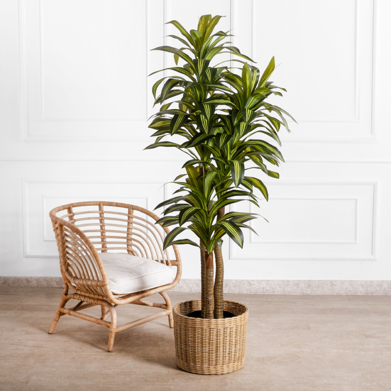 180/3С/405(х)(Fix)(F) Драцена искусственная h180см (латекс)_1