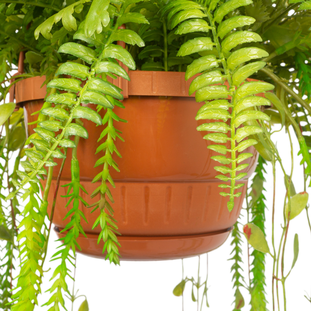 КЗ/02-4(з.) Папоротники ампельн. в подвесном кашпо заказчика_8