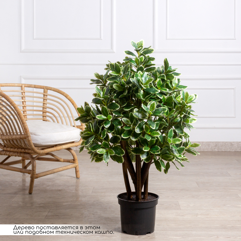 100/К/519(з)(F) Питтоспорум искусственный куст пестрый h100см_1