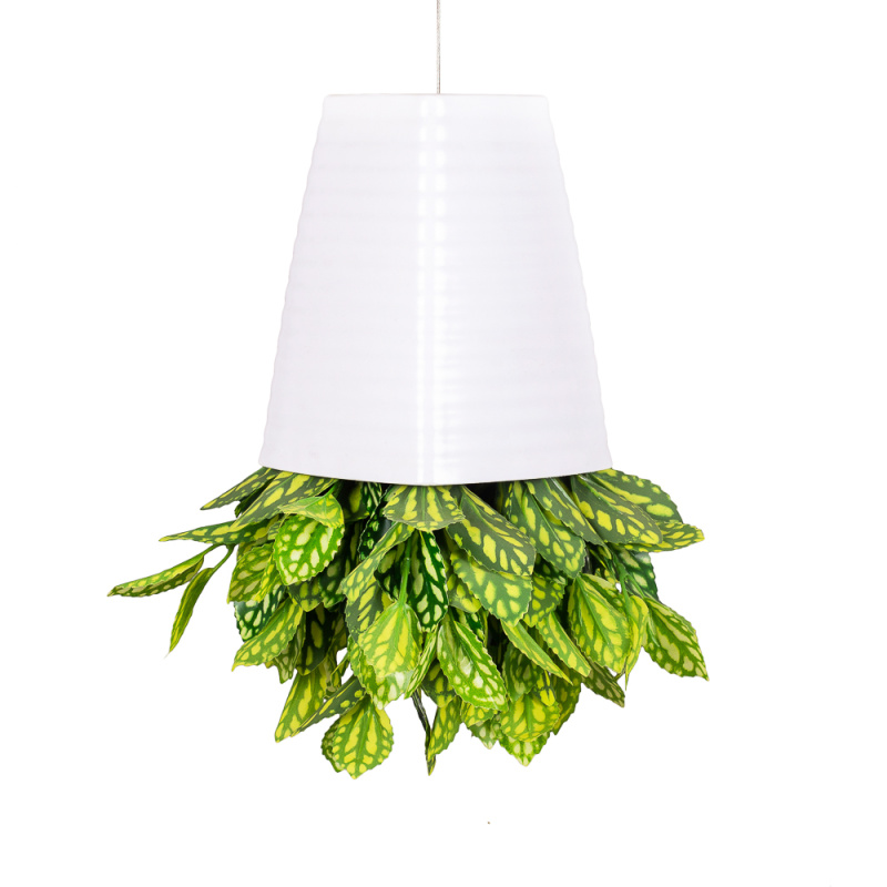СП03 Sky Planter Пилея Кадье h-20 в кашпо (17х17х2