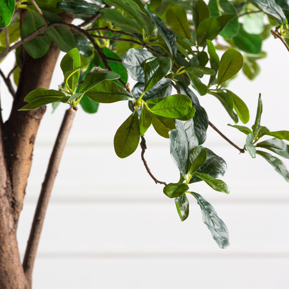 250/РН/84-1(з)(F) Шеффлера искусственная h250см, d220см_4