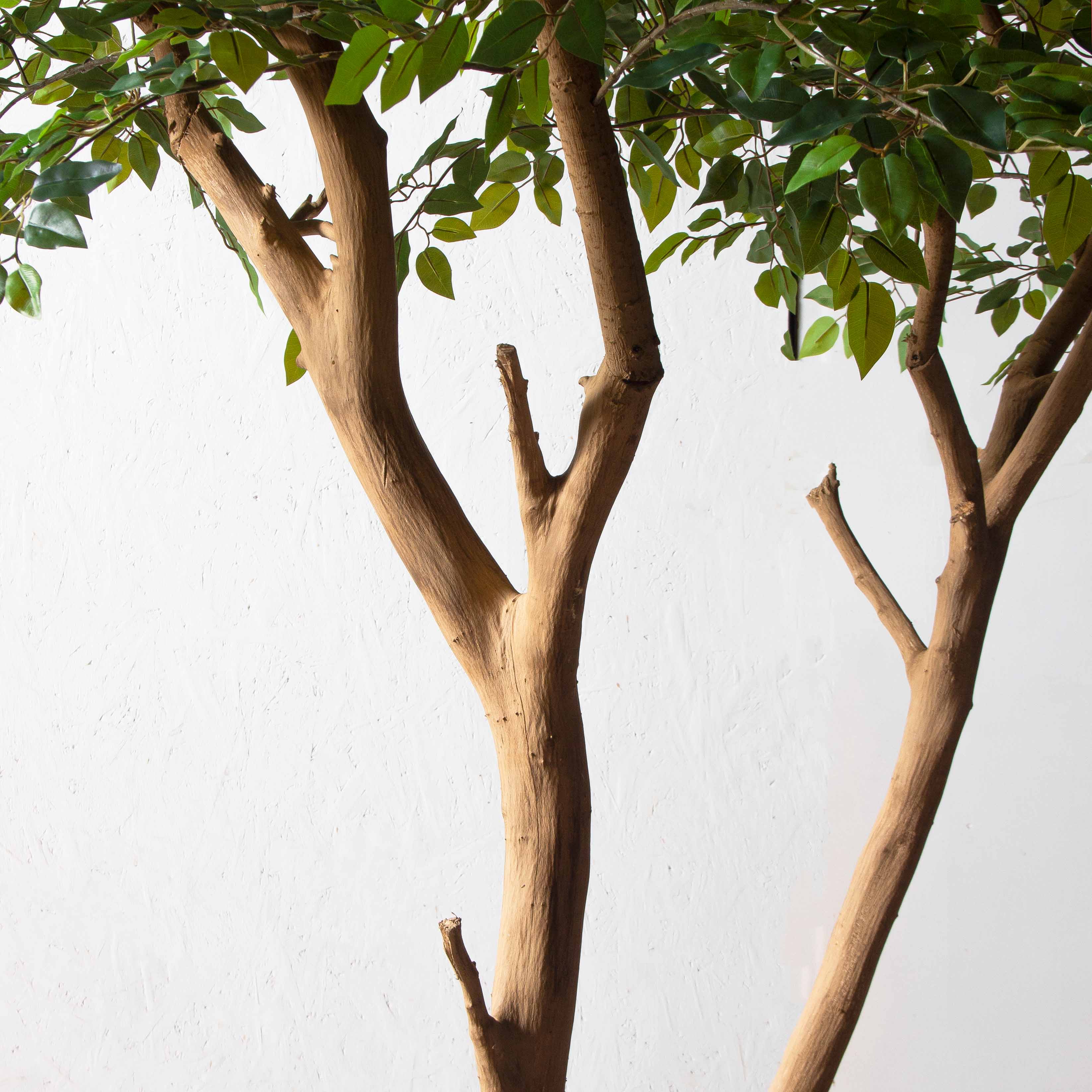 290/ДА/344(Пр)(F)Фикус искусственный h290см_5