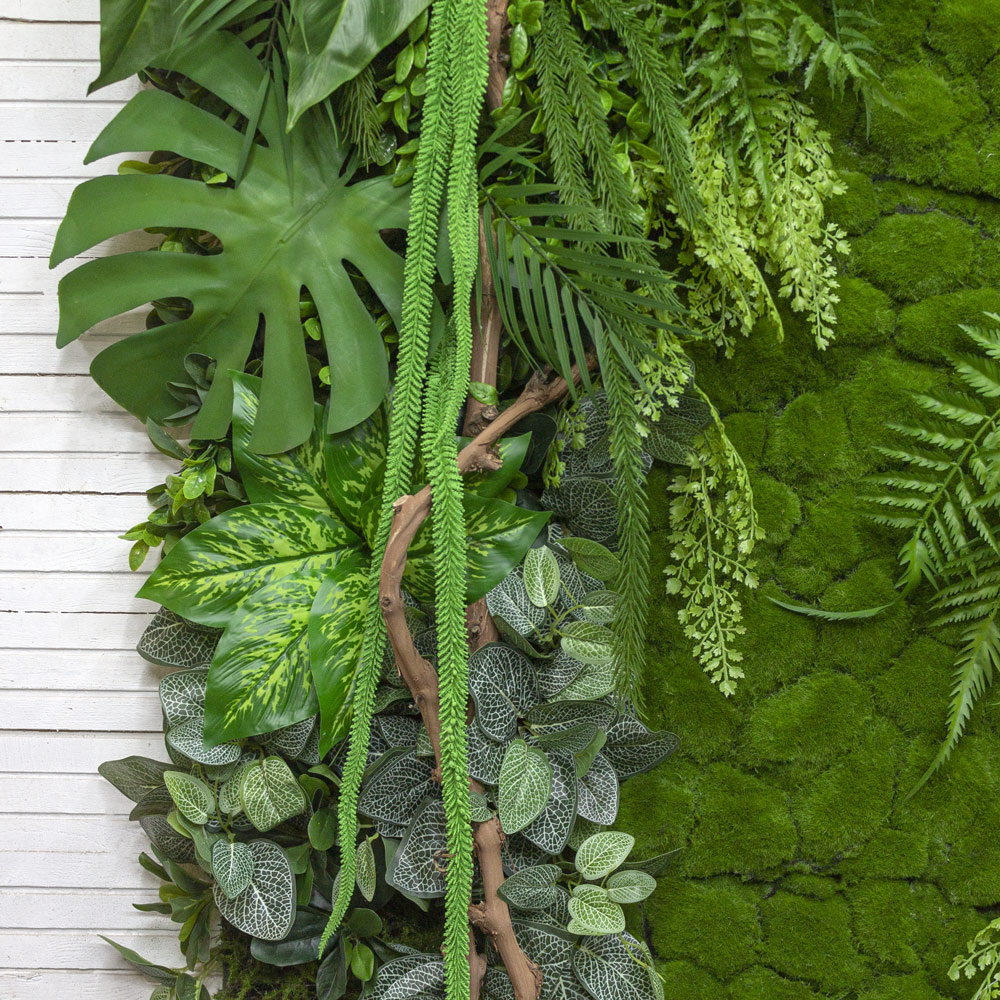 Фитостена 97(з.)_7