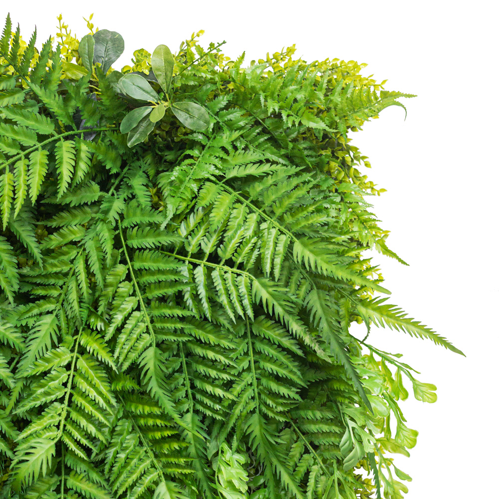 Фитостена 39(з)_4