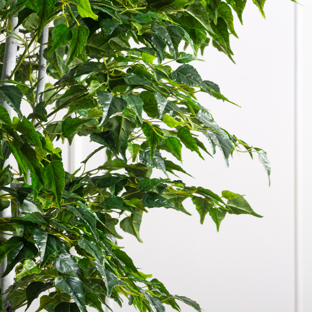 300/РН/122(з)(F) Береза искусственная h300см (латекс)_2