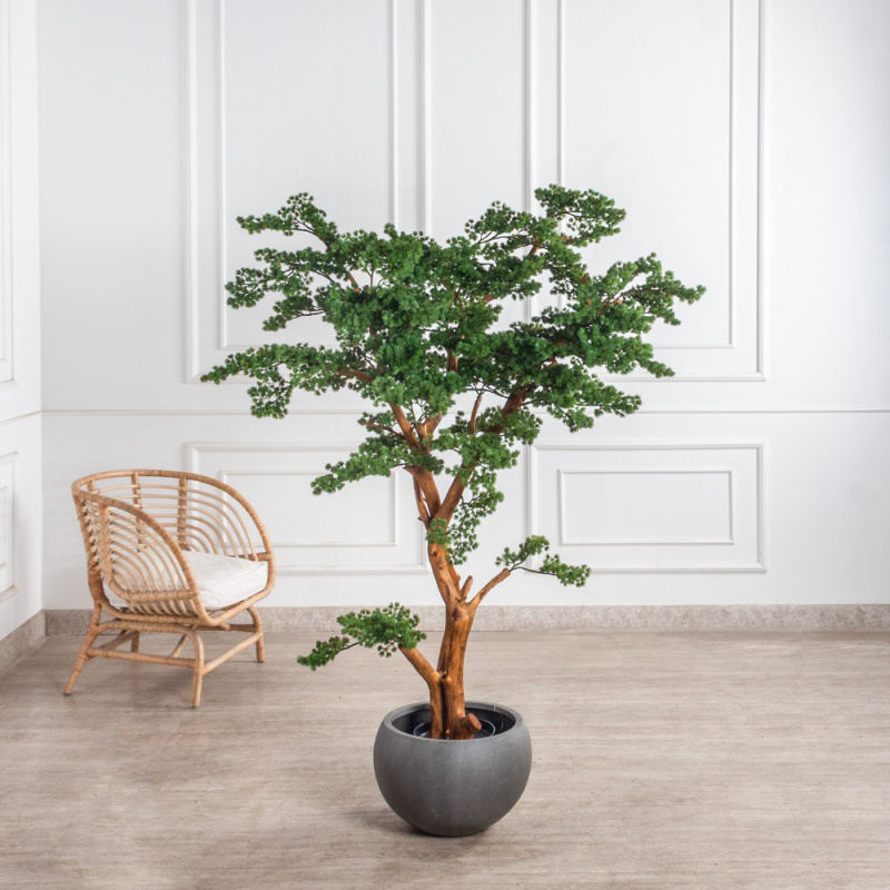 БС165/ДА/427(з)(F) Бонсай искусственный Сосна h165 d120см_1