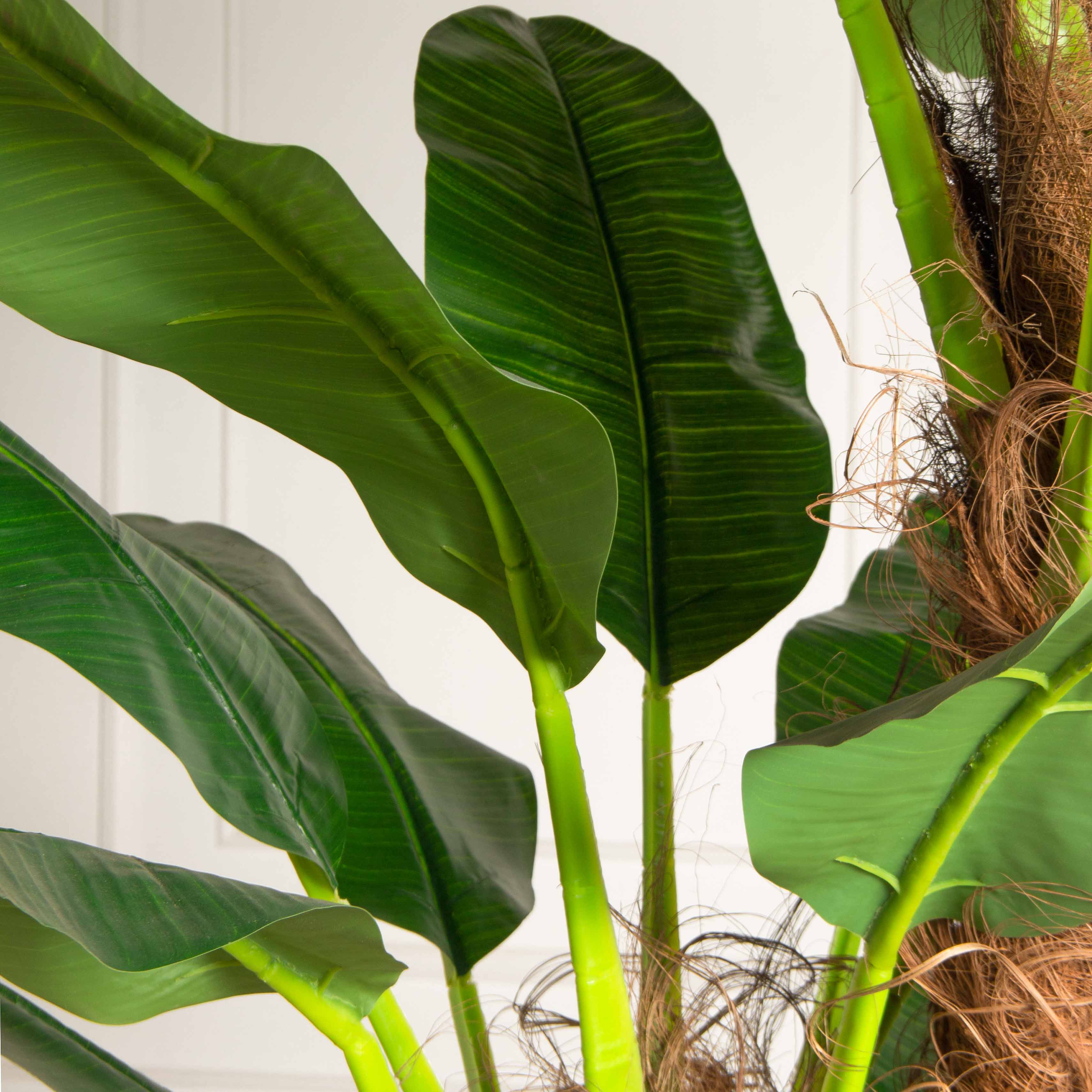 ПС250/2С/43(з)(F) Банановая пальма искусственная h250см (латекс премиум)_5