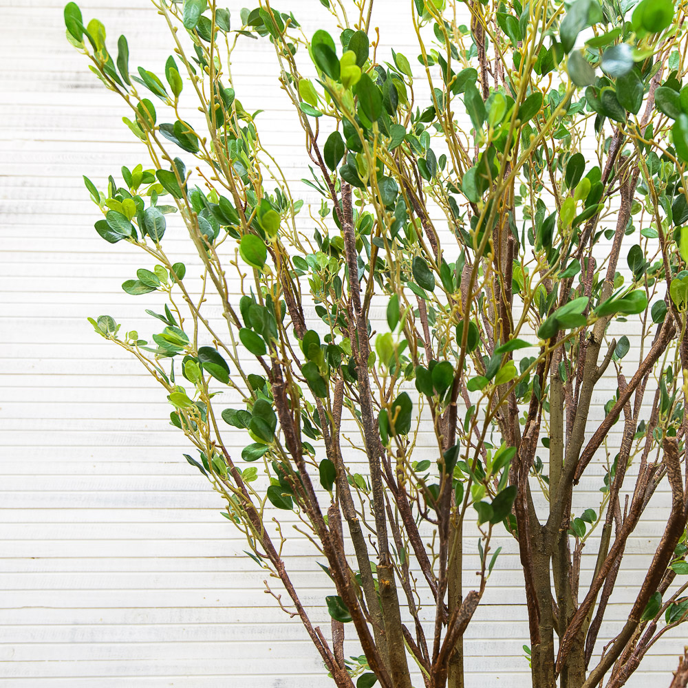 270/РН/200(з.) _3