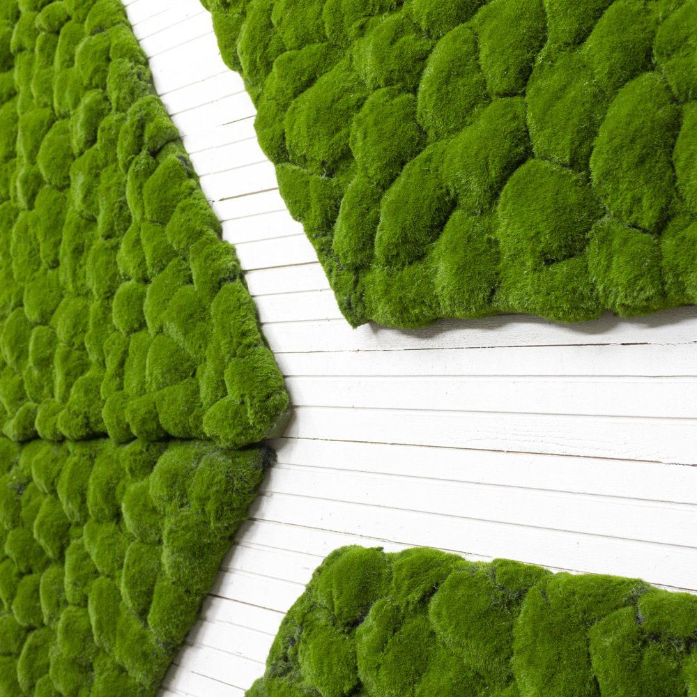 Фитостена 150_2