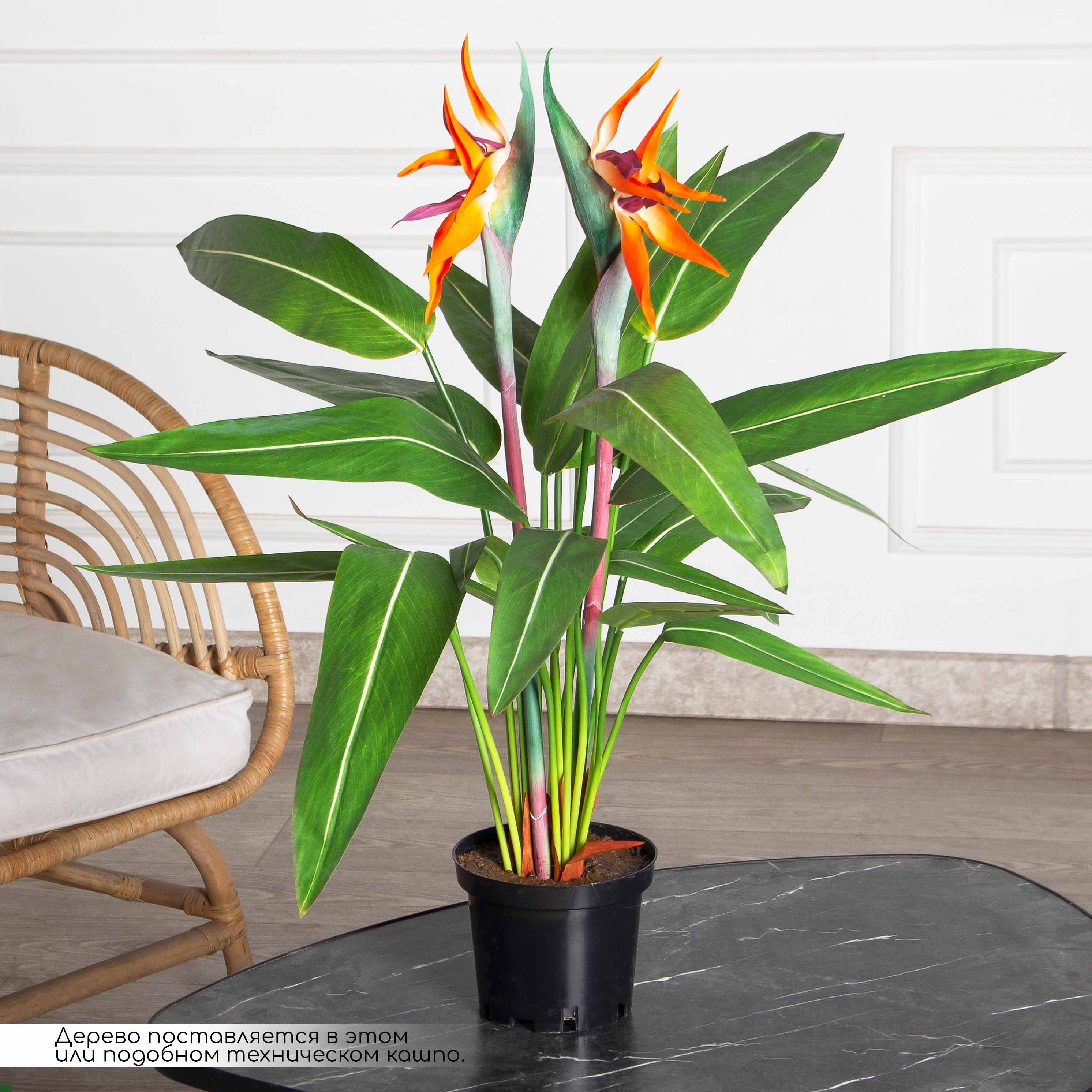 К075*3-3(Пр)(F) Стрелиция куст искусственный с цветами средний h75см (латекс)_2