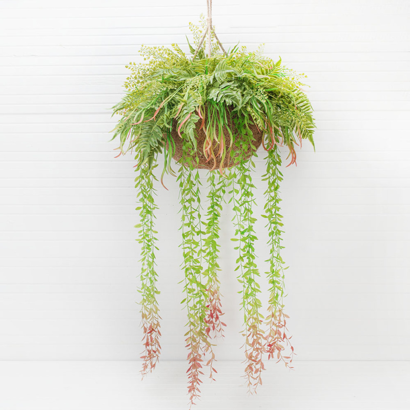 ККВ02 Папоротники в коковите (d-50; h-50см)