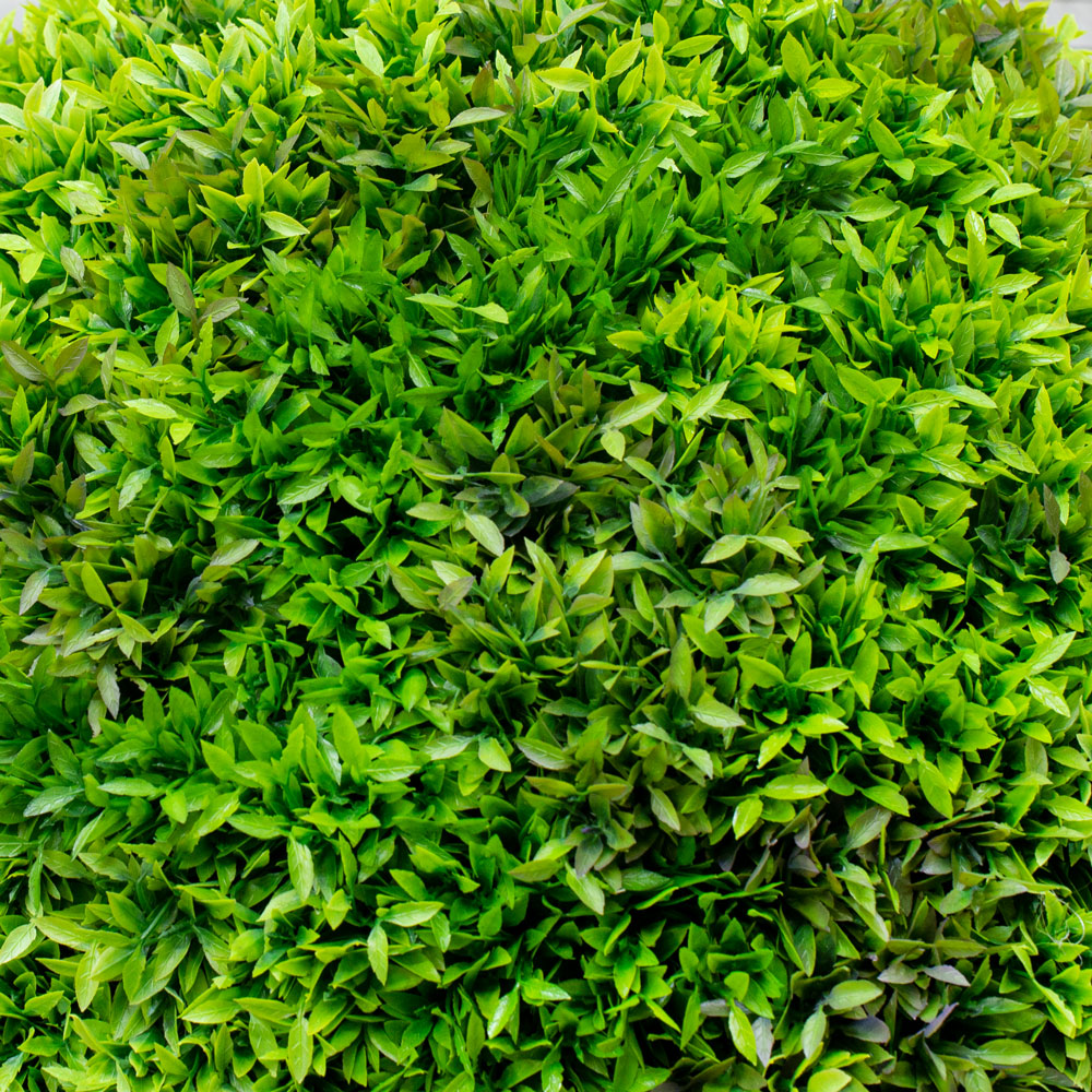 СШ70/423(М)(Promo) Самшит шар d70см в d26см_2