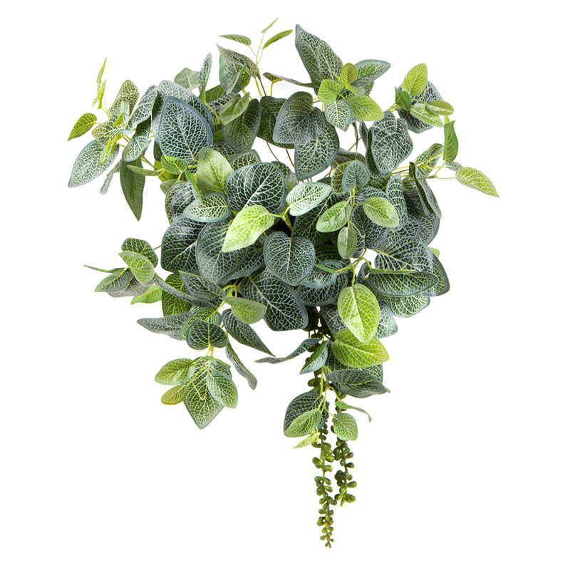 БК 09 Композиция с фиттонией на блоке 15*h10