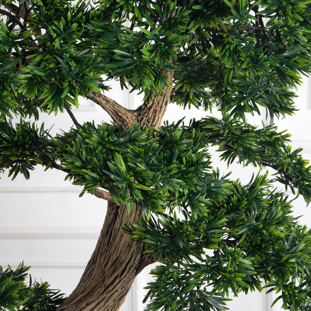 180МЕТ/АСС/241(з)(F) Подокарпус интерьерный h180 d110см_9