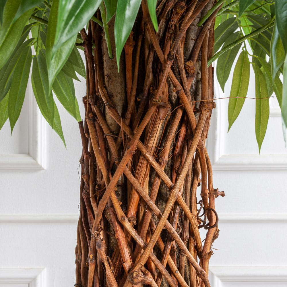 260/ССТК/ВП/2199(з)(F) Лонгифолия искусственная h260см d130см, латекс_5