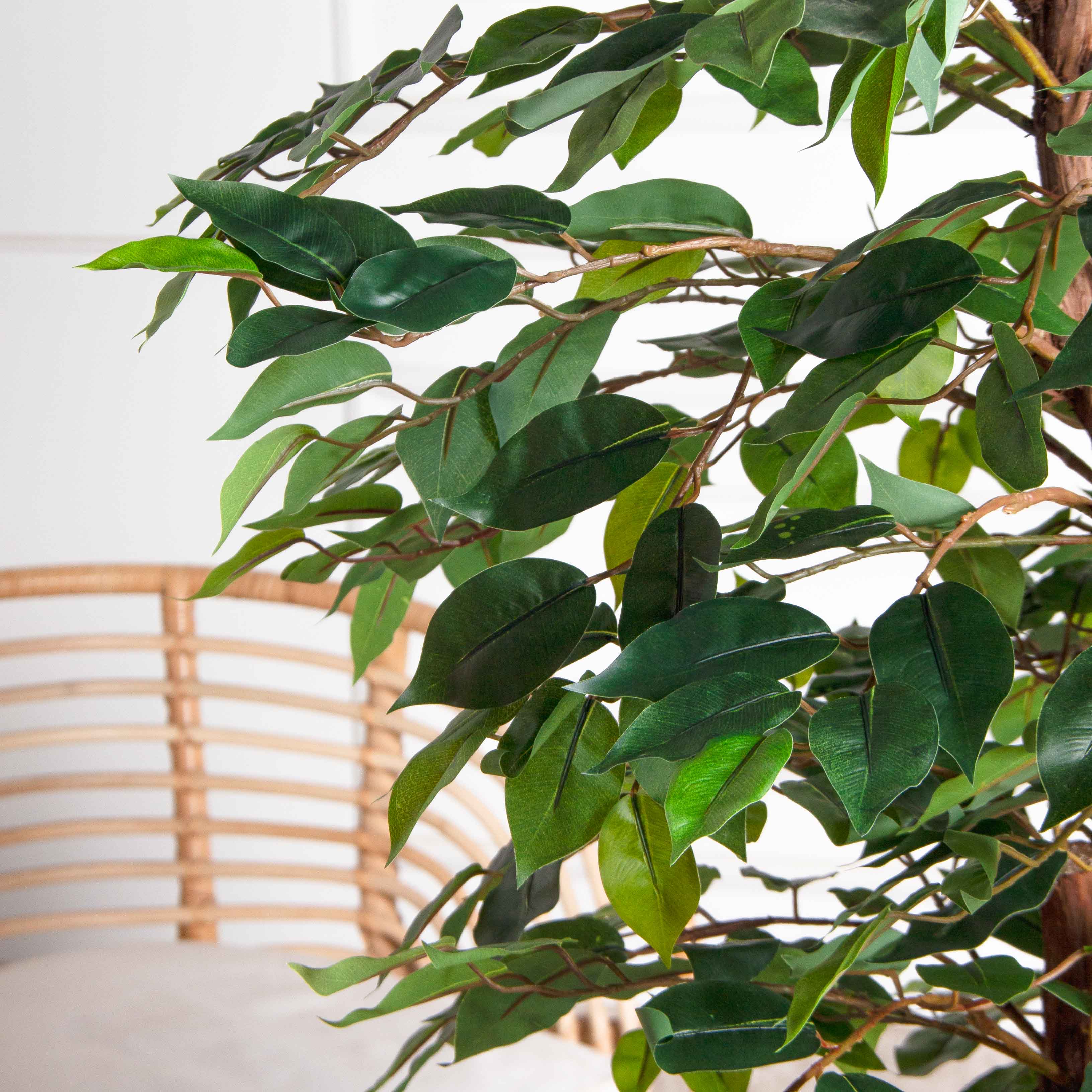 180/ОС/ССТ/34(F) Фикус искусственный h180см (латекс)_5