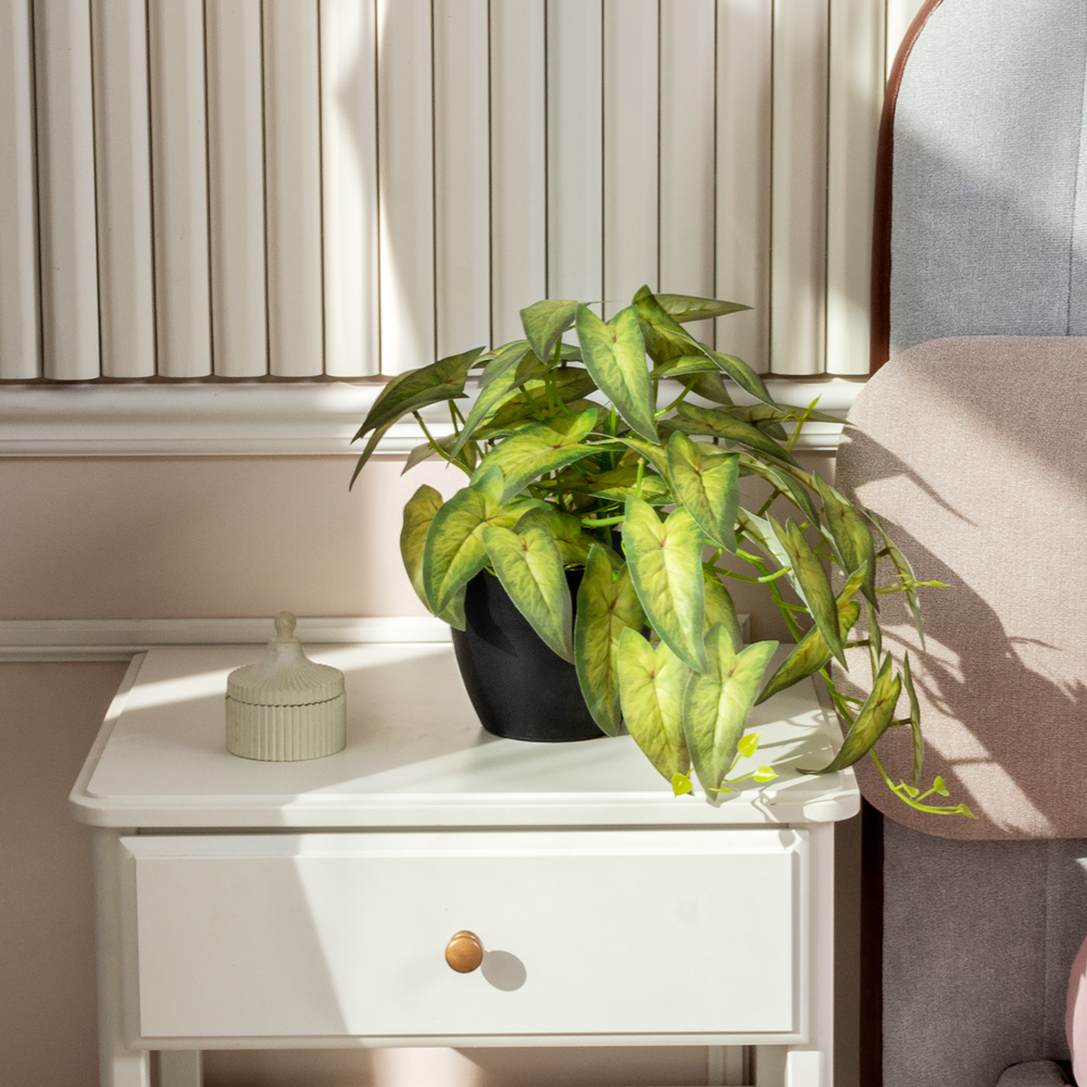 ЦС207-1(F) Сингониум искусственный, ампельный, салатовый_1