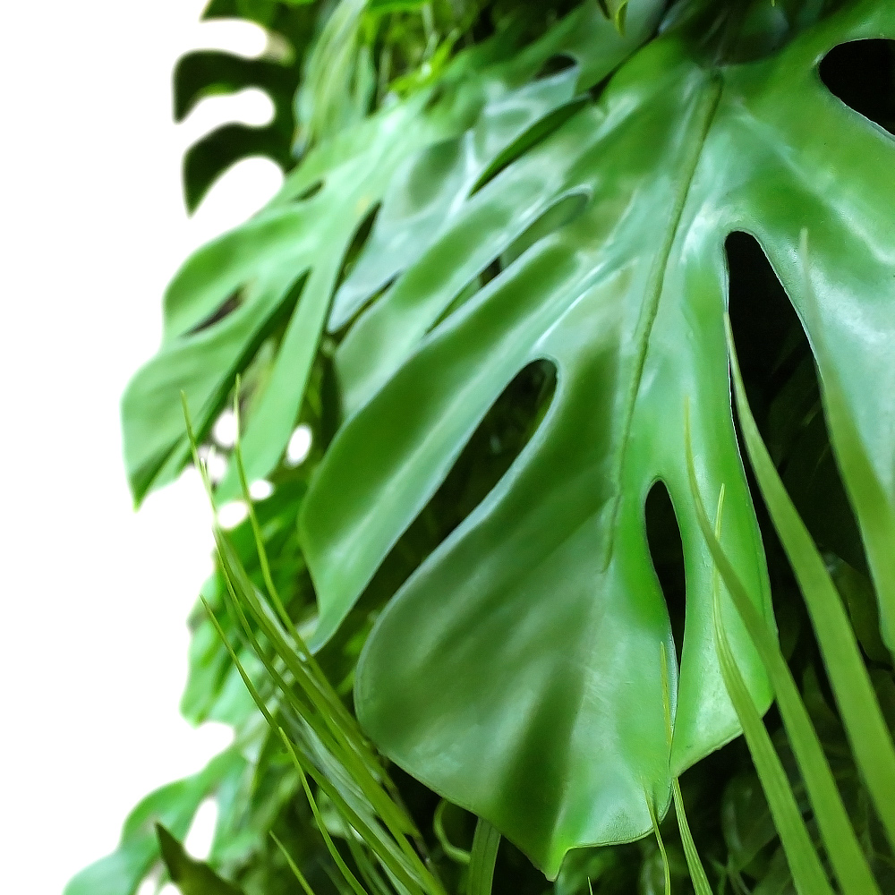 Фитостена 07_3