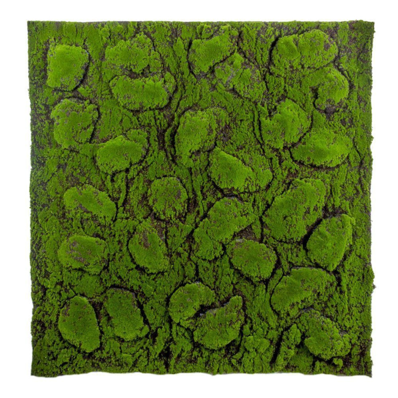 Фитостена 92 