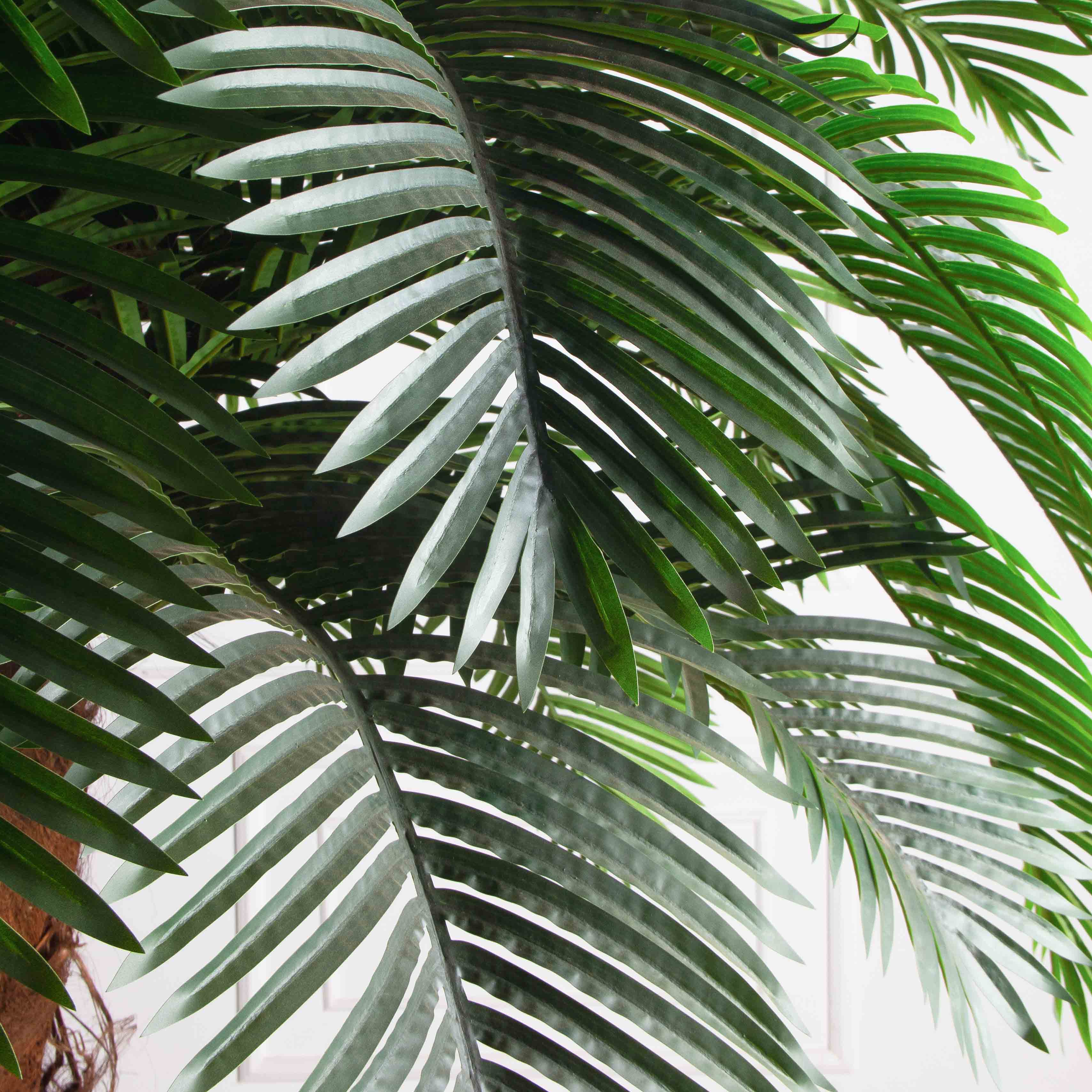 ПС350Разб/ТР/49Люкс(Пр)(F) Пальма Арека искусственная h350см (латекс) на мет.основании_13