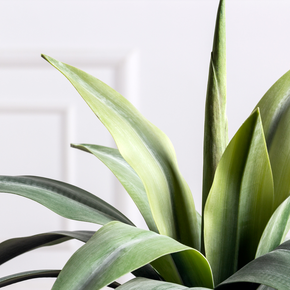 ЦС97(F) Агава гигант искусственная в квадратном кашпо_2