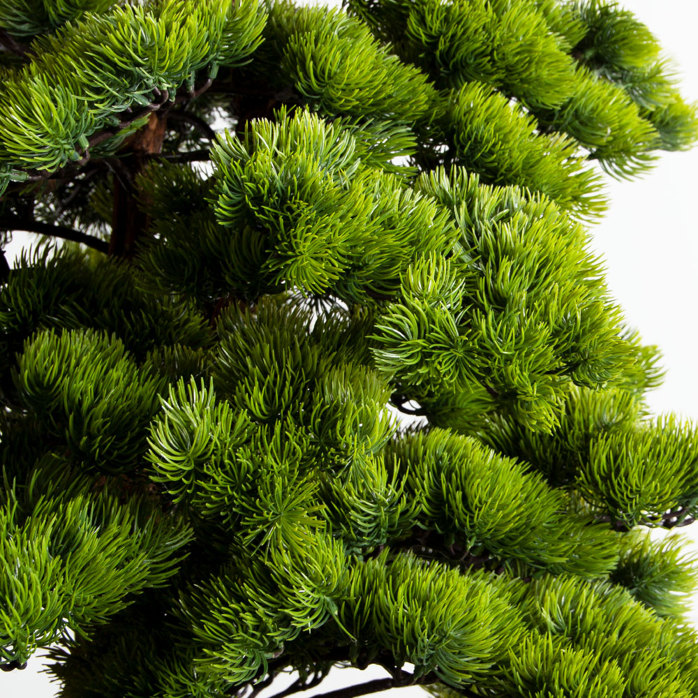 БС180/ОС/30(з)(F) Бонсай искусственный Сосна h180см_7