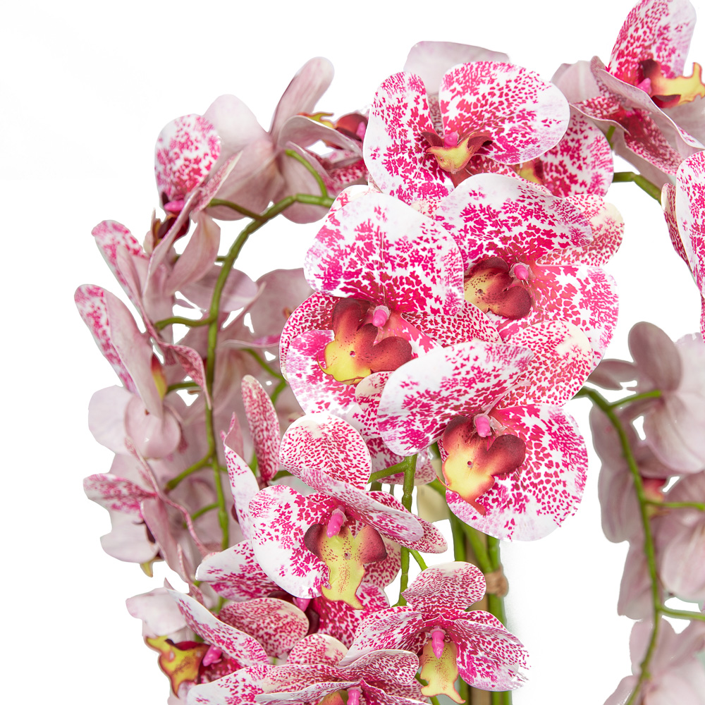 ЦК80*7/33-1(Promo) Орхидея h-80см латекс в интер. кашпо d-17см (белая) 7 цветов_2