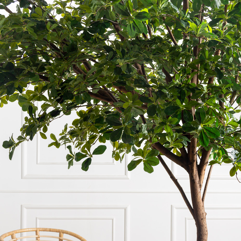 250/РН/84-1(з)(F) Шеффлера искусственная h250см, d220см_2