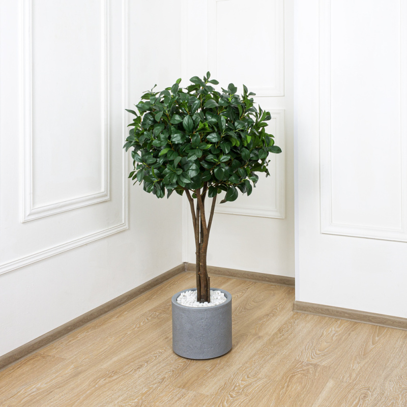 130/РН/64(з.) Рускус искусственный h130см_4