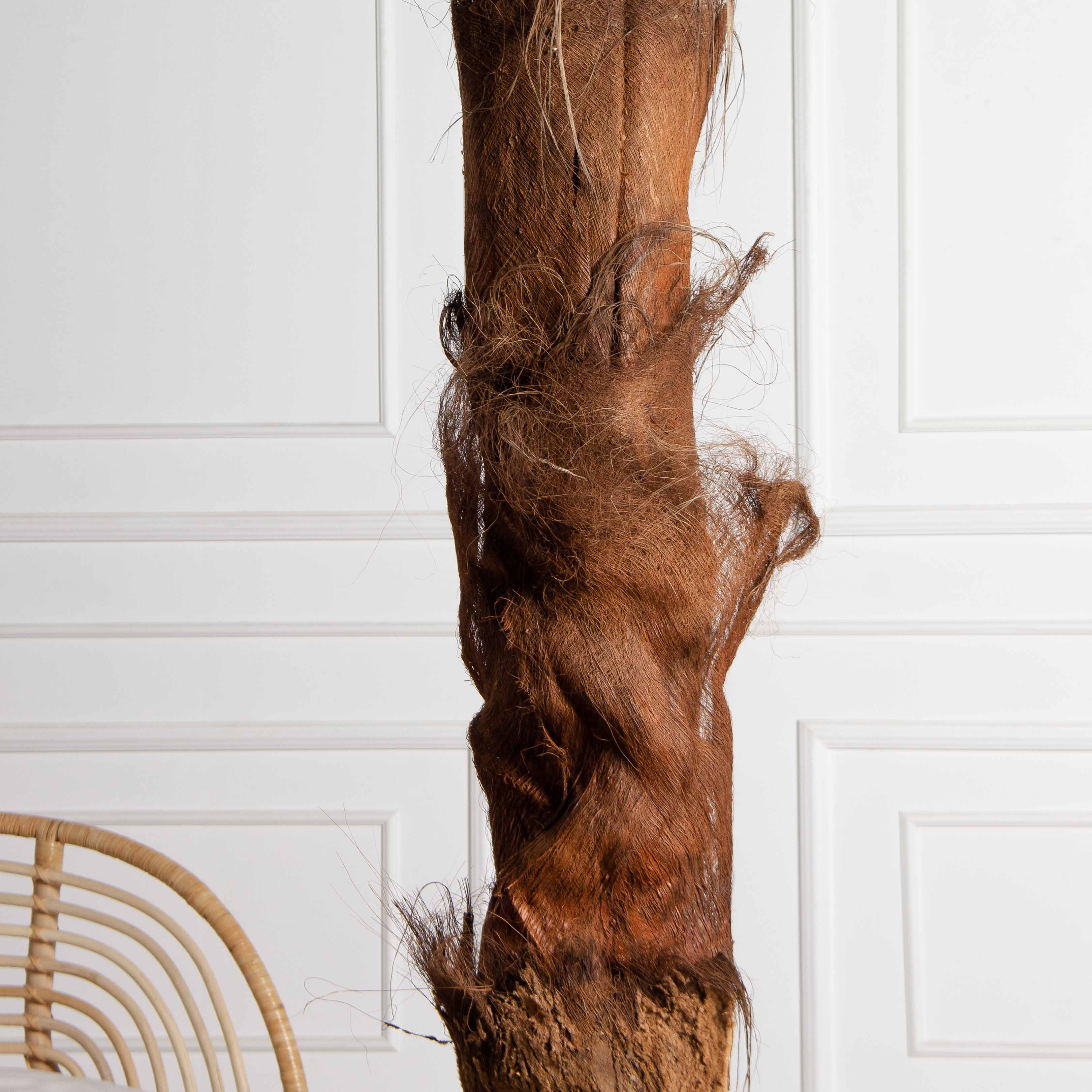 ПС300/ТР/49СТ(Пр)(F) Пальма Арека искусственная h300см (латекс) на мет.основании_4