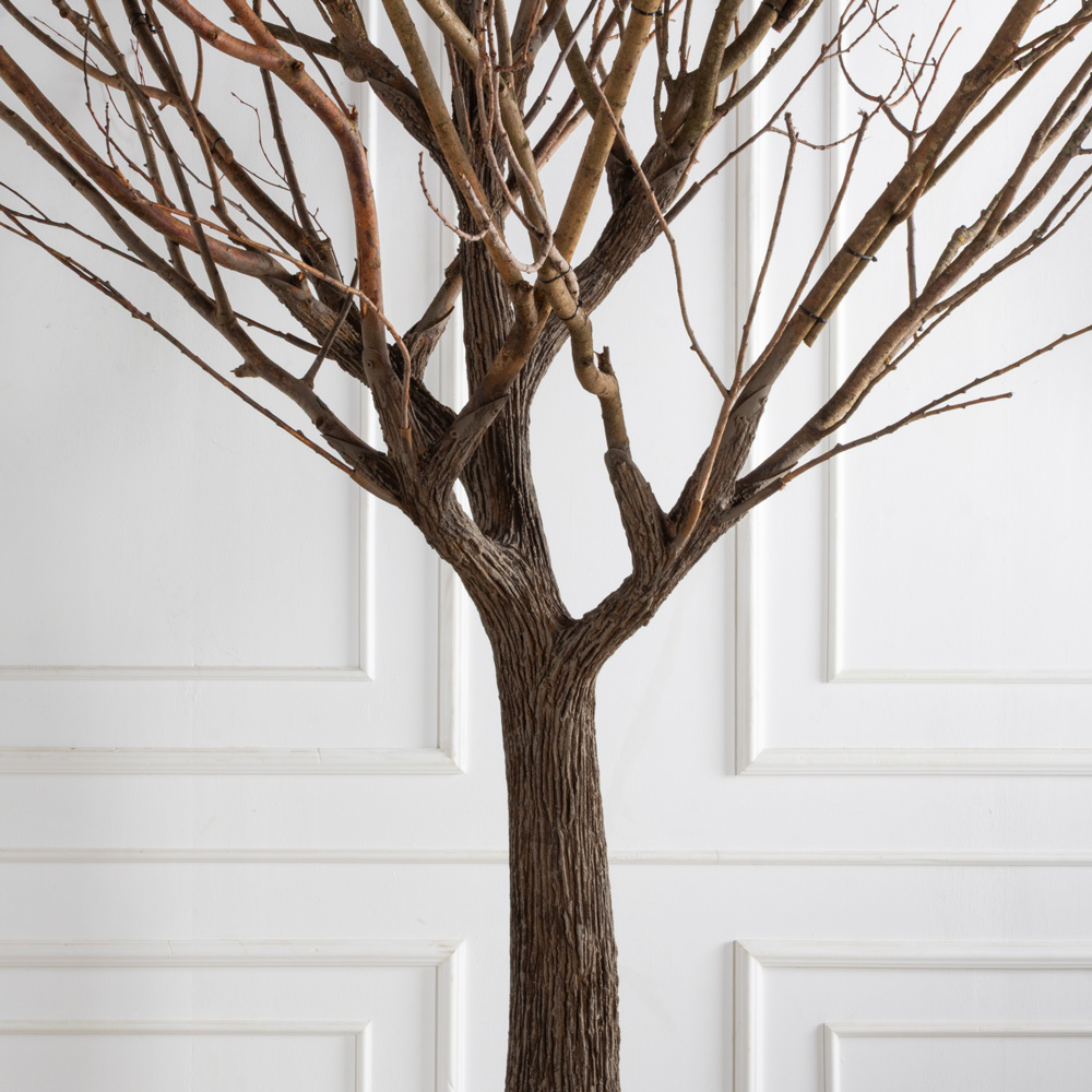 300Гбст/разб/РН(F) Дерево интерьерное с натуральными ветвями h300см d220см_11