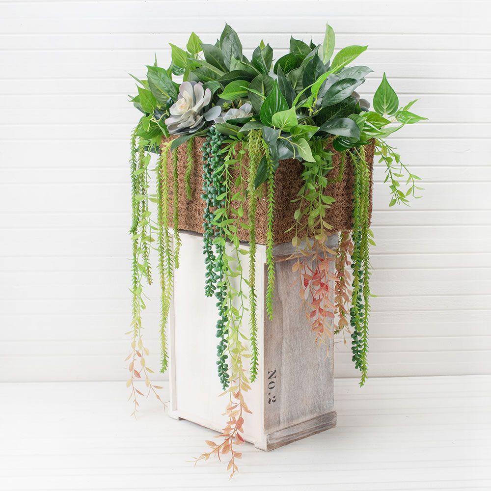 СКК14/7-3(з.) Композиц.из голуб.суккул.с зеленью в к.б(25х27х16,5)_4