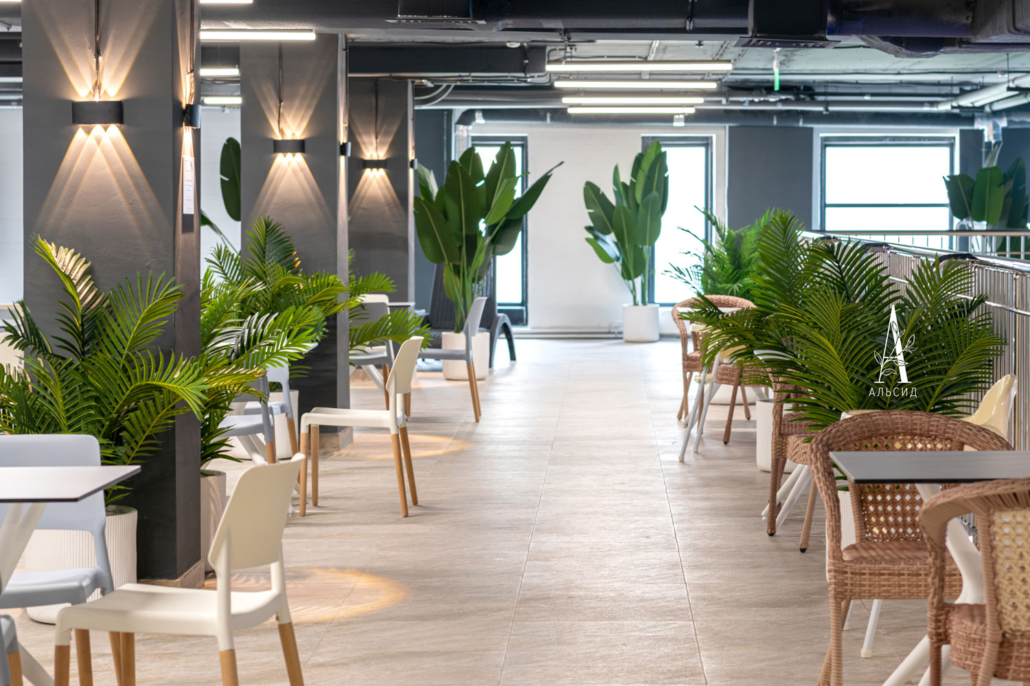 ПК120/К/49(з)(Пр)(FixK)(F) Пальма искусственная кустовая h120см (латекс)_3