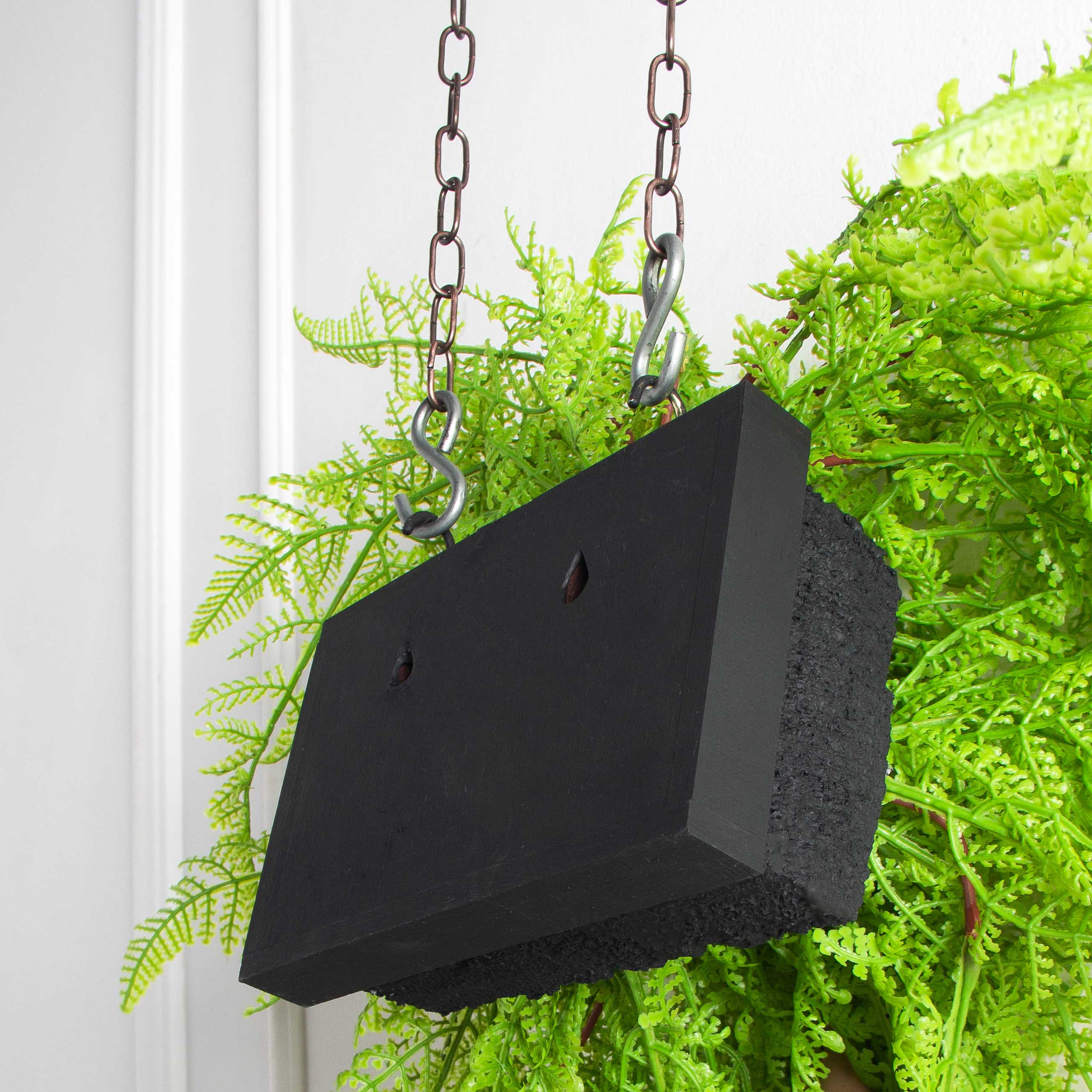 БК11(F) Композиция с папоротником Давалия на блоке 15*h10см_7