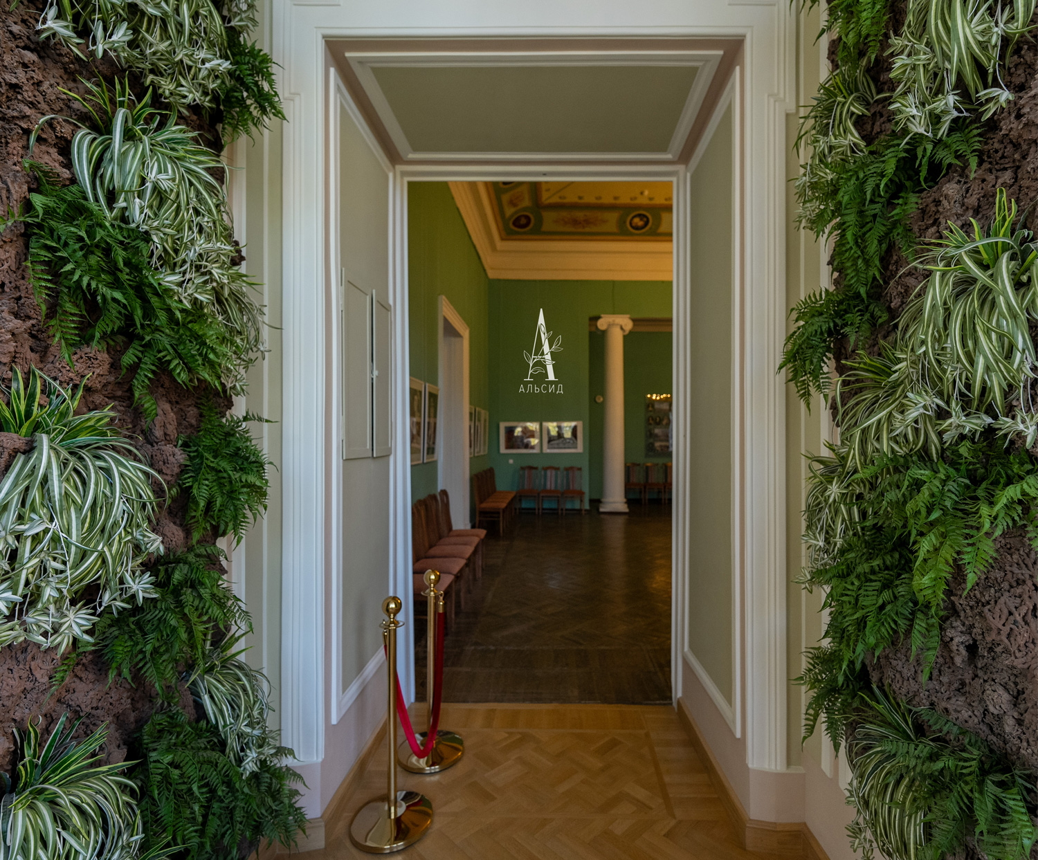 7143/0046-7 Ветка Драцены розетка искусственная, h 45 см (25+20)_4