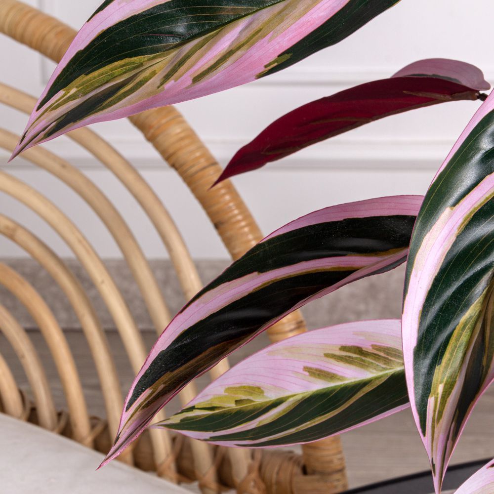 7143/0471-6 Маранта искусственный куст с корнями 12 листов h60см, зелено-розовый_4