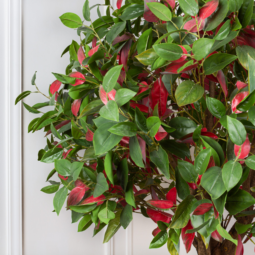 220/РН/420 Фотиния искусственная зелено-бордовая, h220см_2