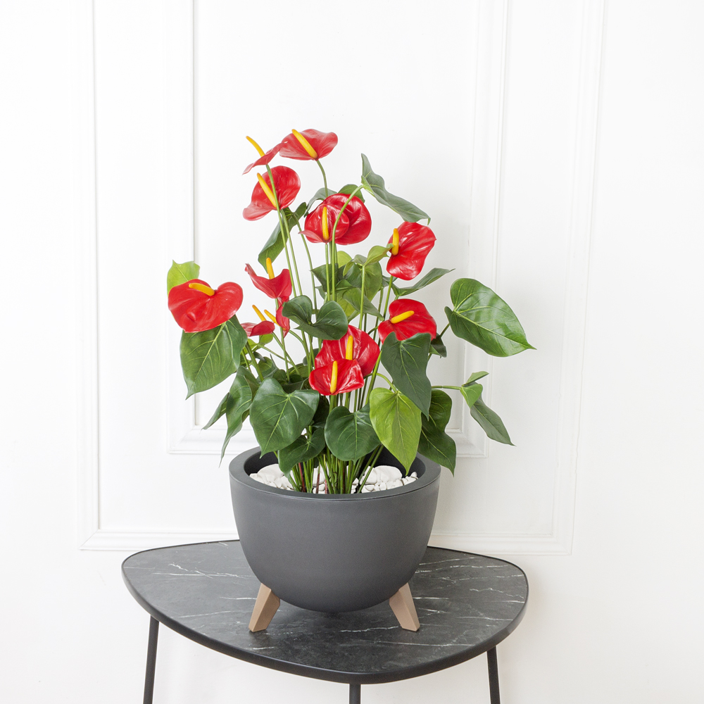 707/К2702/М3187(Fix) Кашпо Флориан d35см, h25,5см, 12л, графит_4